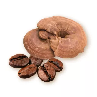 Caleido kava Arabica i Ganoderma, 50 g slika proizvoda