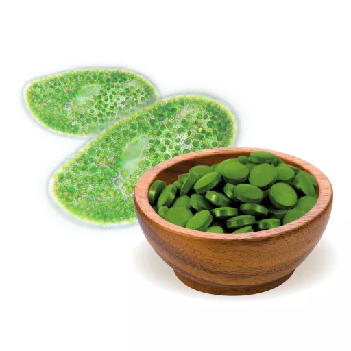 BioMenü organske tablete alge chlorelle 250 g materijal