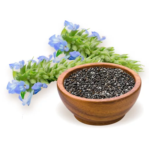 BioMenü organske sjemenke chia 250 g materijal