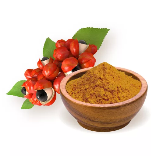 BioMenü organski prah guarane 60 g materijal