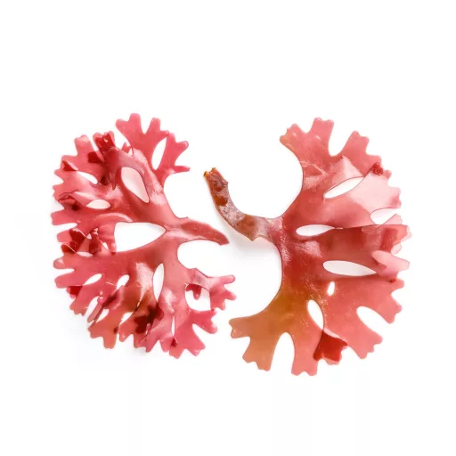 Caleido gel kapsule astaksantina 60 kom materijal