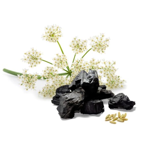 Caleido kapsule s anisovim sjemenom i aktivnim ugljenom, 60 kapsula materijal