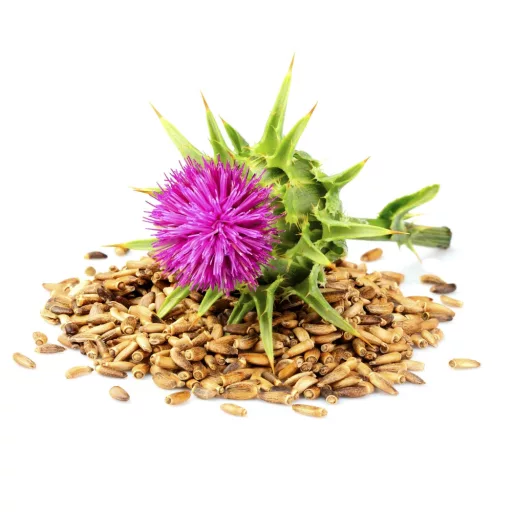 Caleido kapsule čička, 60 kapsula materijal