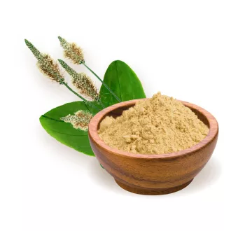 BioMenü organska brašna od psyllium ljuske 125 g slika proizvoda