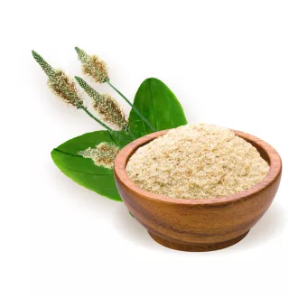 BioMenü organska psyllium ljuska 125 g slika proizvoda
