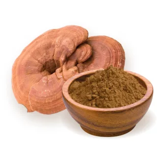 BioMenü organski prah od gljive ganoderma 100 g slika proizvoda