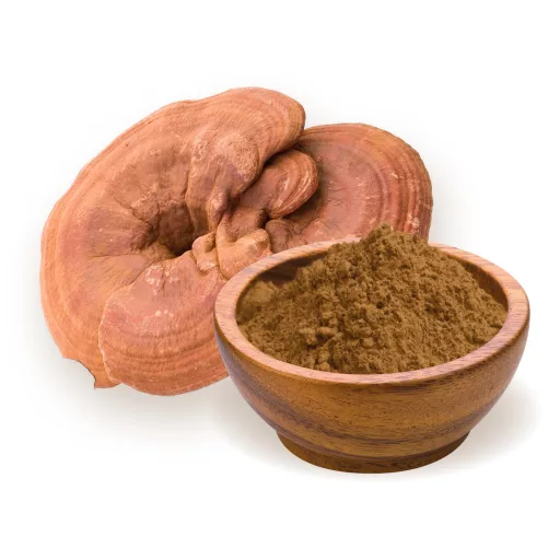 BioMenü organski prah od gljive ganoderma 100 g materijal