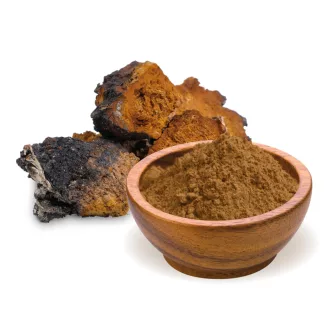 BioMenü organski prah gljive chaga 100 g slika proizvoda