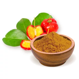 BioMenü organski prah bobica acerola 60 g slika proizvoda
