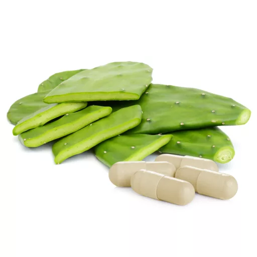 Caleido kapsule opuncije + prebiotik, 60 kapsula materijal