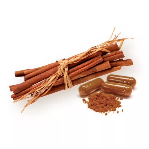 BioMenü organske kapsule cejlonskog cimeta 60 kom. materijal