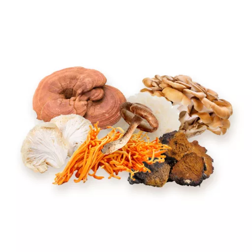 BioMenü organske kapsule mješavine 7 vrsta gljiva 60 kom materijal