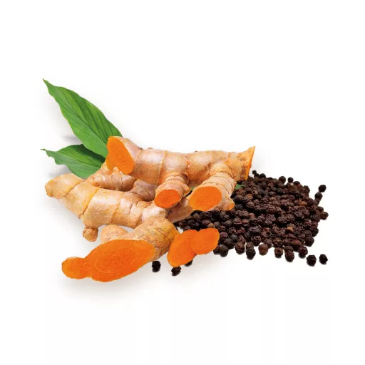 BioMenü organske kapsule kurkume i crnog papra 60 kom materijal