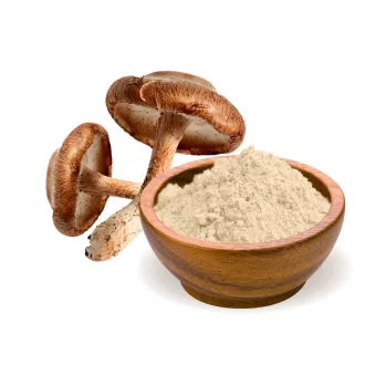 BioMenü organski prah shiitake gljiva 100 g slika proizvoda