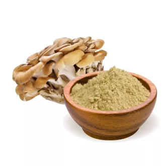 BioMenü organski prah od maitake gljiva 100 g slika proizvoda