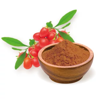 BioMenü organski prah od goji bobica 60 g slika proizvoda