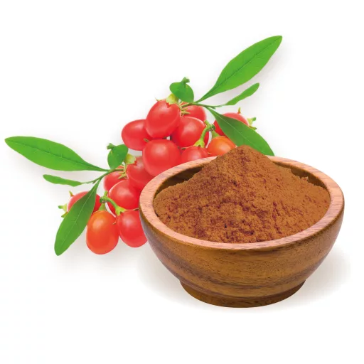 BioMenü organski prah od goji bobica 60 g materijal