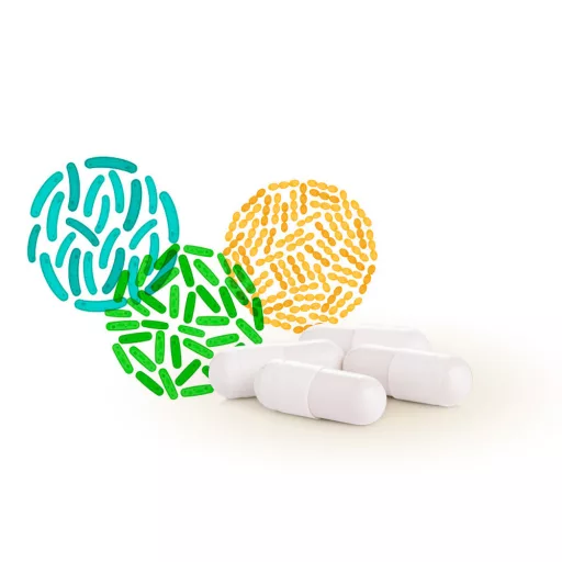 Caleido mega probiotičke kapsule, 60 kapsula materijal