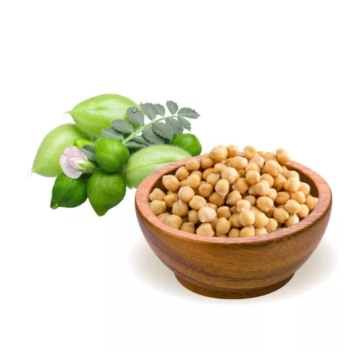 BioMenü organski slanutak 500 g materijal