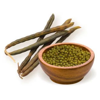 BioMenü Bio MUNGO GRAH 500 g slika proizvoda