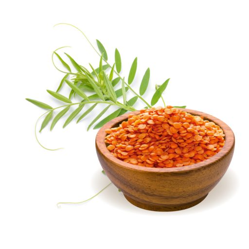 BioMenü organske crvene leće 500 g materijal