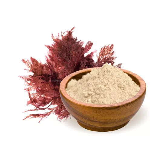 BioMenü organski prah agar-agara 60 g materijal