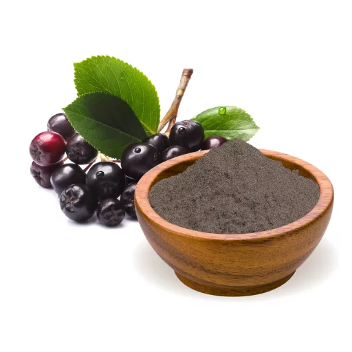 BioMenü organski prah od crnih ogrozda 125 g materijal