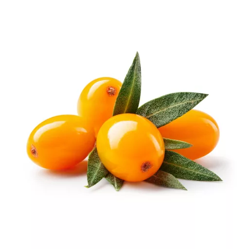 Caleido kapsule gela ulja božikovine 60 kapsula materijal