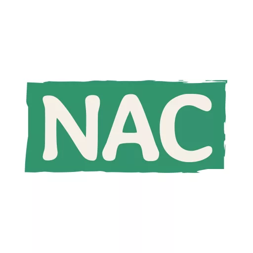 Caleido NAC N-Acetil-L-Cistein kapsule 60 kom materijal