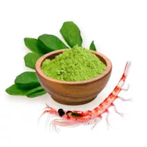 Srce i krvožilni sustav