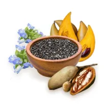 Okus, želudac, probavni sustav