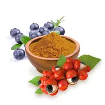 Mentalne funkcije, živčani sustav, stres