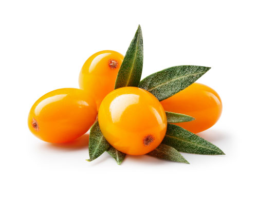 Ulje sjemenki pasjeg trna